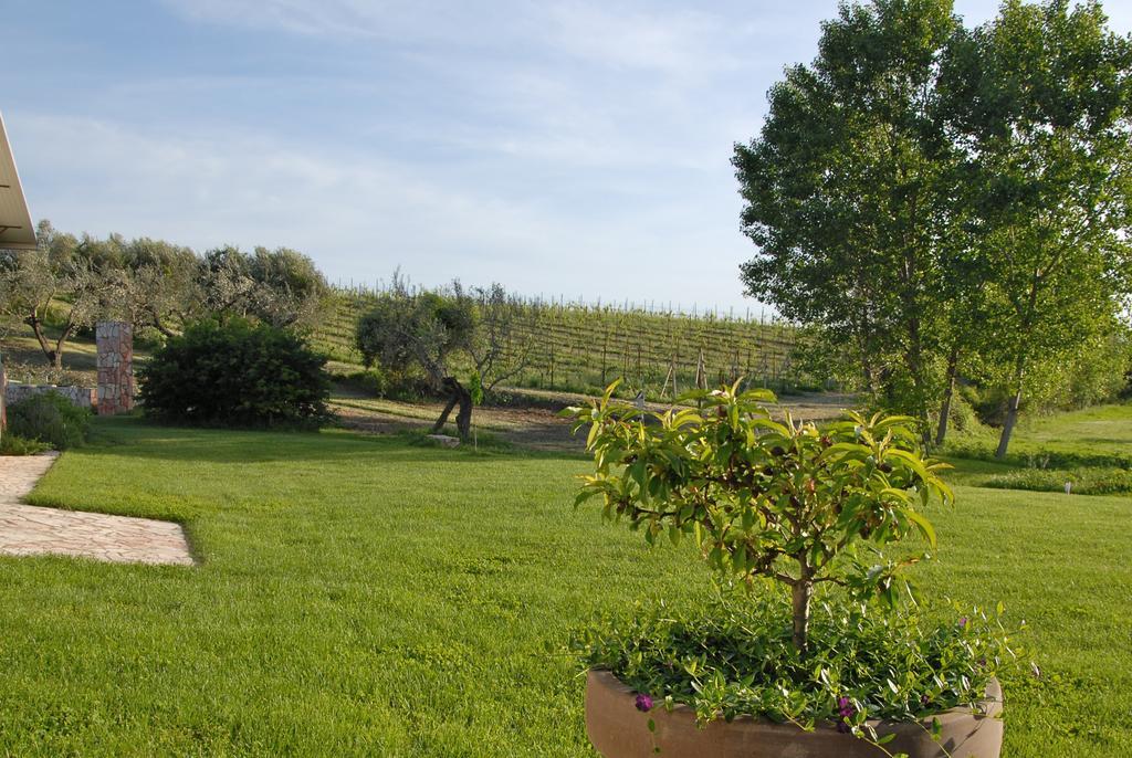 Agriturismo Arte Et Agricoltura توسكانيا المظهر الخارجي الصورة