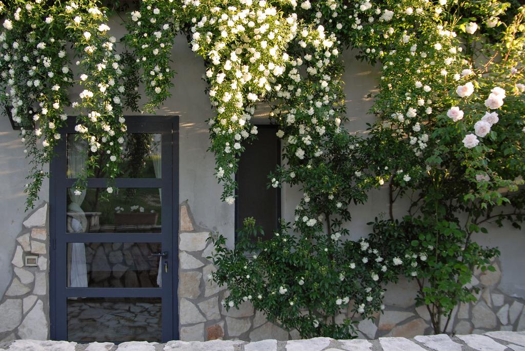 Agriturismo Arte Et Agricoltura توسكانيا المظهر الخارجي الصورة