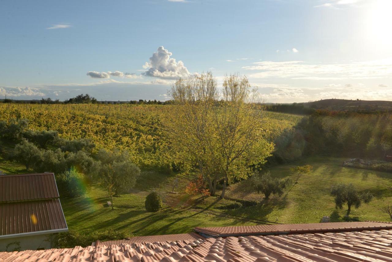 Agriturismo Arte Et Agricoltura توسكانيا المظهر الخارجي الصورة